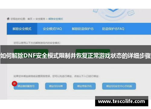 如何解除DNF安全模式限制并恢复正常游戏状态的详细步骤