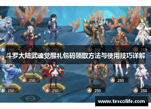 斗罗大陆武魂觉醒礼包码领取方法与使用技巧详解