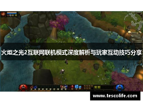 火炬之光2互联网联机模式深度解析与玩家互动技巧分享